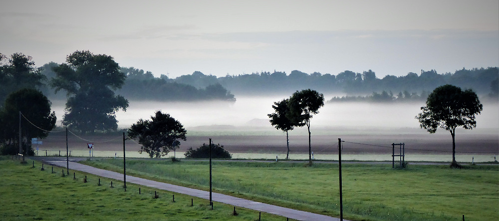 Nebeliger Morgen (© 2017 Walter Martinat)