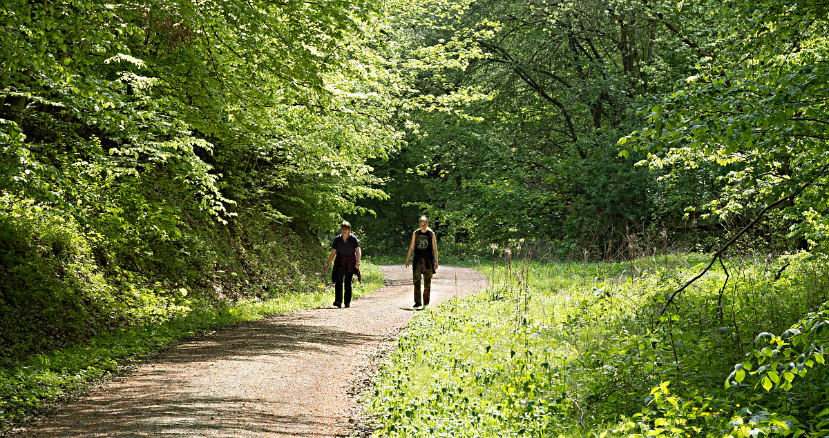 Spaziergang